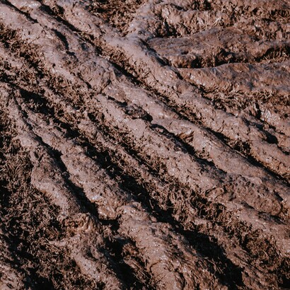 Scrivere versi rende più morbidi i confini del caos interiore e apre spazio alla speranza