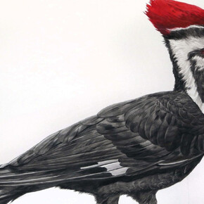 Summer Sampler. Courtesy of The Front Room Gallery