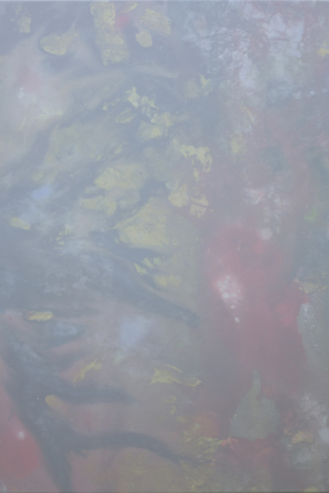 Alex Gough, Wilderness in Paint No.27, 80 x 115 cm, Pigment, acrylic binder, gesso, canvas and polyester, 2014 
