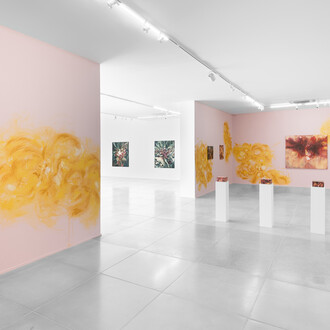 Mika Takahashi, Chuva solar, vista da exposição. Cortesia da Galeria Simões de Assis