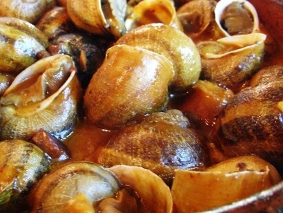 La coltivazione delle lumache, nota come elicicoltura, si diffuse in Europa durante il XIX secolo, quando la domanda di questo mollusco crebbe, soprattutto in Francia e Italia