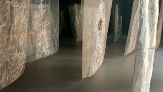 Guillermina Ortega; Instalación «Seres de luz»