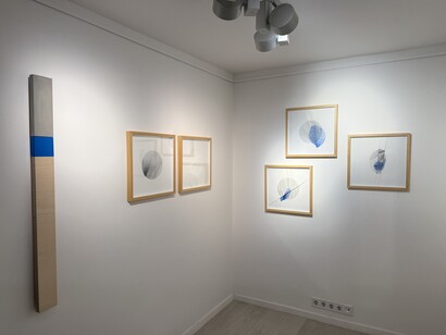 Ferenc Forrai, Waterline, exhibition view. Courtesy of Várfok Gallery