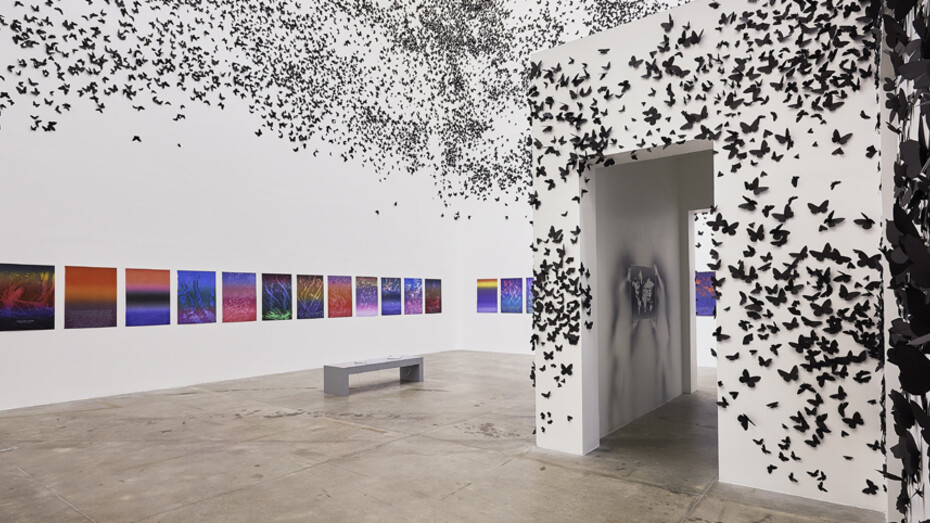 Carlos Amorales. Courtesy of MUAC