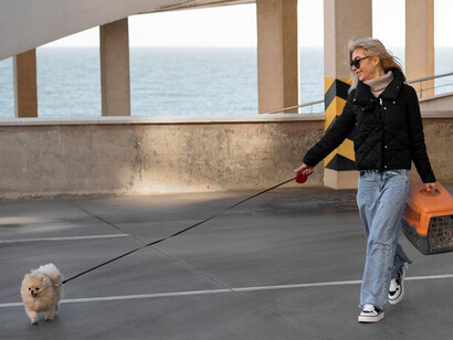 At the airport, a woman holds her adorable dog, ready to board a pet-friendly airline for a smooth and stress-free journey