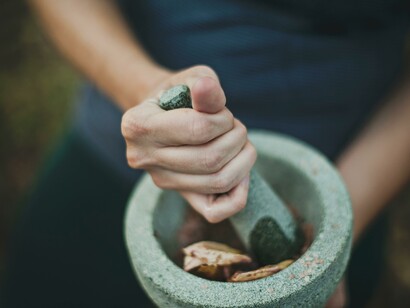 Os polissacarídeos dietéticos têm efeitos saudáveis sobre o microbioma intestinal