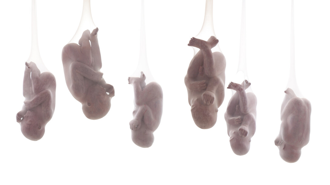 Emanuele Giannelli, Fabbricanti di cellule staminali