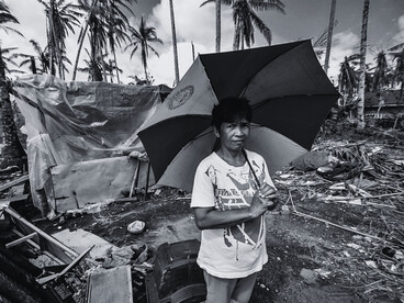 A survivor surrounded by shattered homes and fallen trees, reflecting the endurance in the face of devastation
