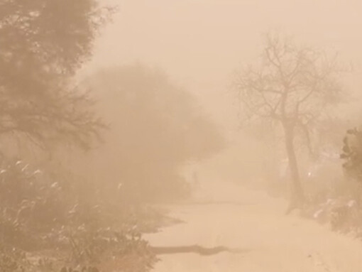 El sur de Madagascar, azotado por la sequía, también tuvo que hacer frente a este fenómeno conocido como «caza de arena» a mediados de noviembre. Región de Androy al sur de Madagascar