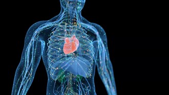 Vitamins boosting the immune system