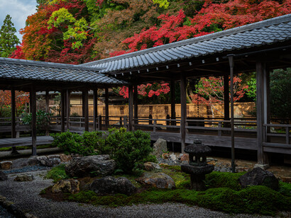 Nos hemos ajustado a una tradición que nos quiere llevar por las amplias avenidas de la velocidad en vez de pasear a campo traviesa