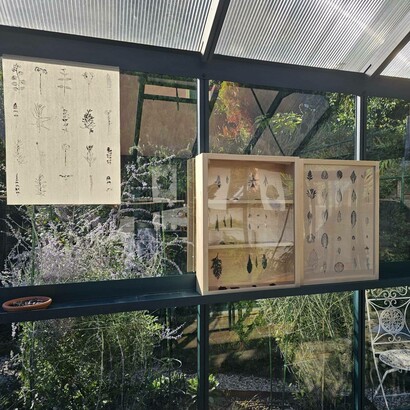 Vanni Cuoghi, Cesare Galluzzo, Asako Hishiki, Significare il giardino. Armonie, tracce e misteri, serra della Casa del Sole, Ceranesi (GE), agosto 2025. Ph. Diego Santamaria