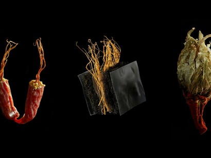 Japanese Food. Designer Ayako Suwa's