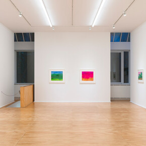 Richard Mayhew, Watercolor, exhibition view. Courtesy of Venus Over Manhattan