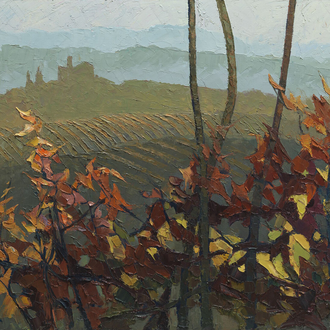 Alan Cotton, Piemonte – Castello della Volta from the Vineyards