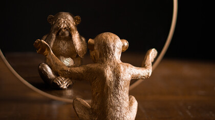 Primata de madeira cobre e mostra os olhos 