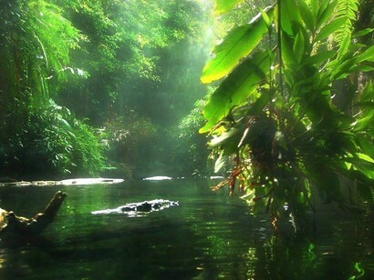 Navegando no rio Amazonas
