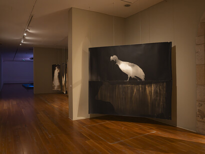 Roberto Huarcaya, Intersticios. Fotogramas 2014-2025, vista de exhibición. Cortesía del MARCO