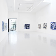 Yves Zurstrassen, Blooming, vue d'exposition. Avec l'aimable autorisation de Ceysson et Galerie Bénétière