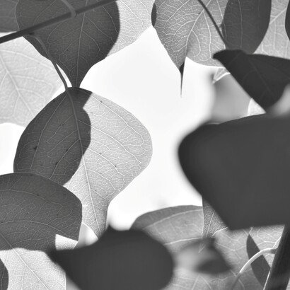 Attorno sento il respiro di chi è in ansia, un ritaglio così veloce potrebbe disperdere tutto nel gioco frivolo dei coriandoli