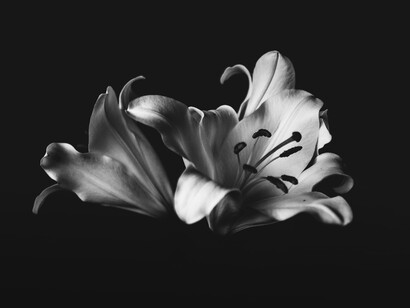 The Mattering Map is not a map like the ones hanging on the walls of geography classrooms around the world