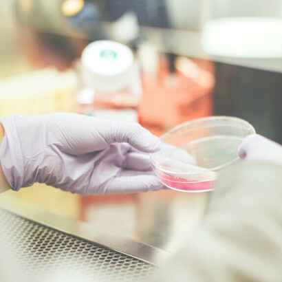 Fármacos anticancerígenos: hay muchos tipos de inmunoterapia que se usan para tratar y posiblemente curar algunos tipos de cáncer.