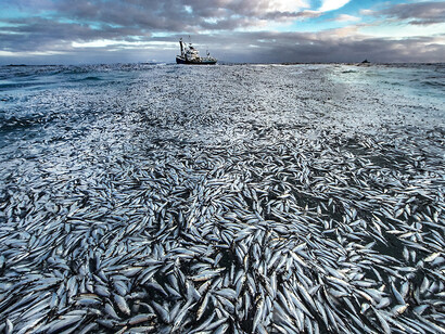 Planet ozean, ausstellungsansicht. Mit freundlicher genehmigung des Gasometers