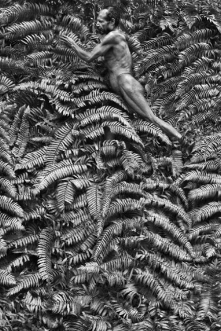 Sebastião Salgado, Yali man. West Papua. Indonesia, 2010, Gelatin silver print, 180 x 125 cm/50 x 68 inches
© Sebastião Salgado/Amazonas Images