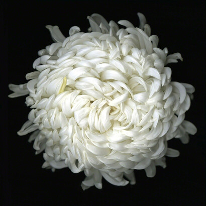 Katinka Matson. Courtesy of Eric Buterbaugh