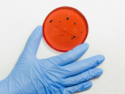 Im Labor: Eine Hand bewegt eine medizinische Probe