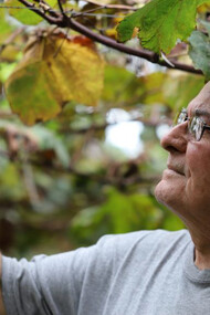 Virgilio Vidor trabajando en sus viñedos