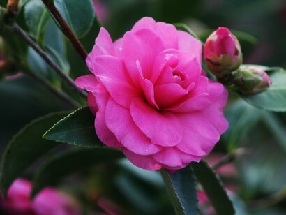 È il nostro corpo fisico fatto di energia massificata con in più una coscienza che contiene e si anima attraverso la forza dell’amore che tutto può