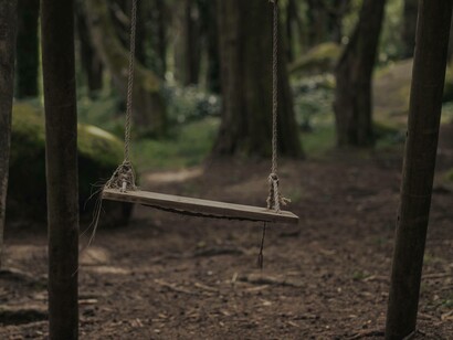 A wooden plank acting as a swing is supported by trees and waiting for someone to ride it so that they can go up and back down again