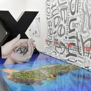 Daniel Keller, Installation view of “TEDxVaduz redux” (with Simon Denny) at T293, 2013, Courtesy T293, Rome