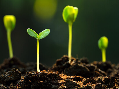 Sustainability is not fully respected