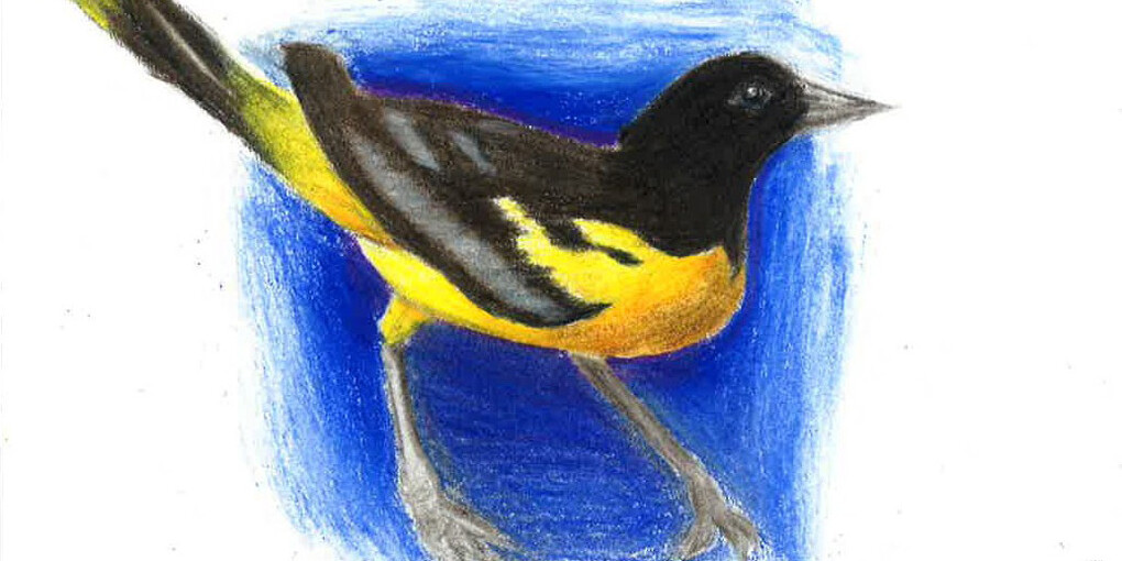 Imagine Brandywine. Courtesy of Brandywine River Museum of Art