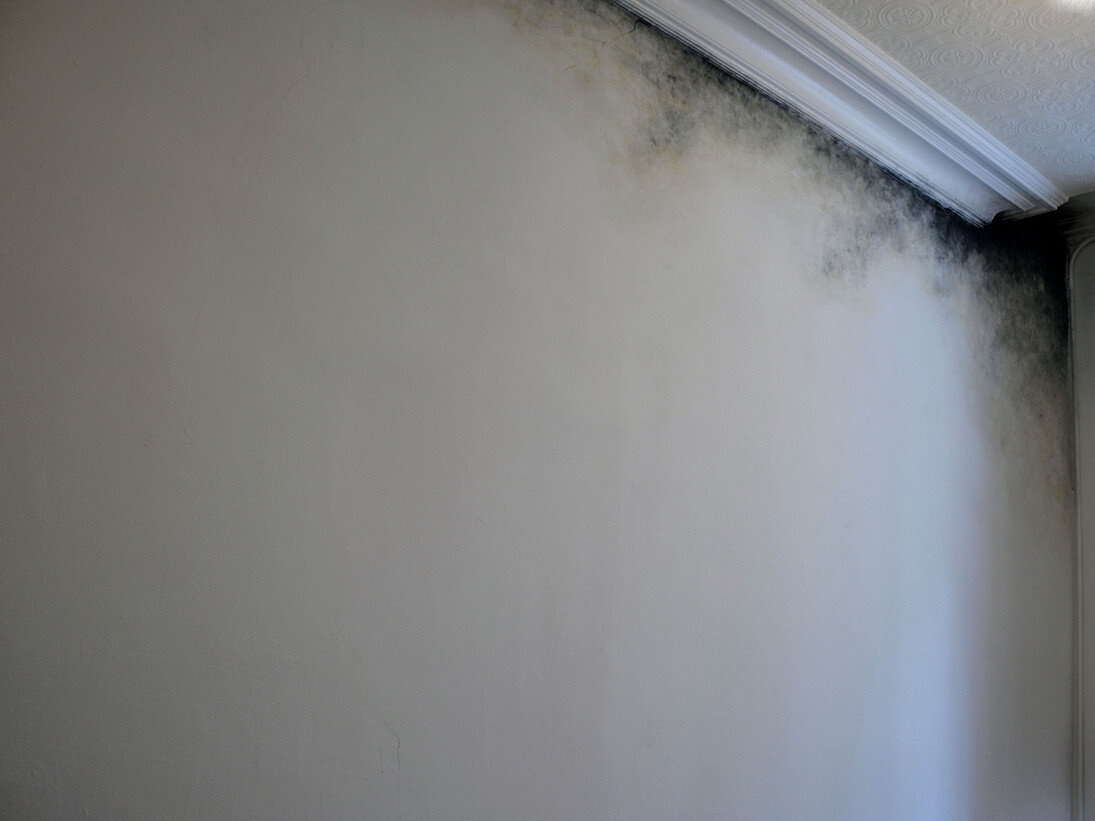 contamination (site specific intervention)