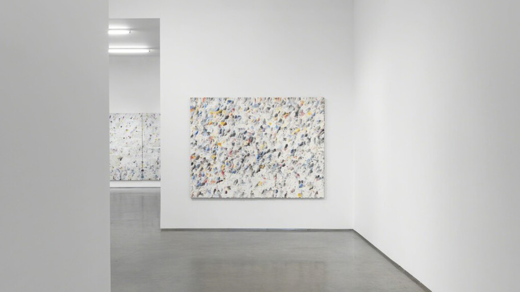 Dashiell Manley. Courtesy of Marianne Boesky Gallery