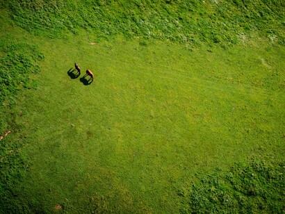La tranquilidad del rural
