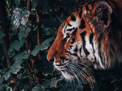 Grit is what brings you the extra mile towards success