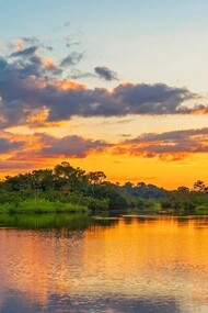 Parque nacional del Manu, espacio natural protegido localizado en el sureste del Perú