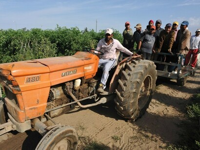 Emigranti in campagna