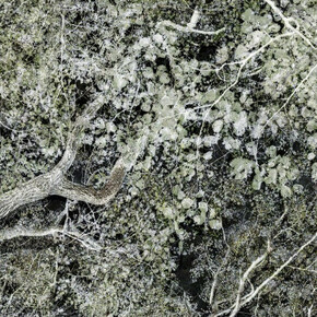 Santeri Tuori. Courtesy of Purdy Hicks Gallery