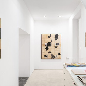 James H.D. Brown, I want to know, vista della mostra. Per gentile concessione di Galleria Valentina Bonomo e Galleria Alessandra Bonomo