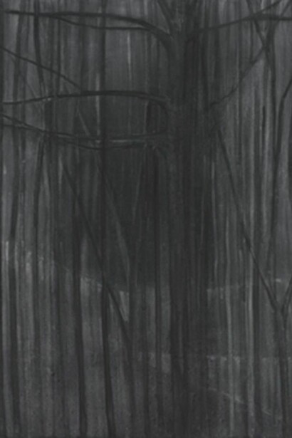 Silke Otto-Knapp, Wintertrees 2012, 100x130cm