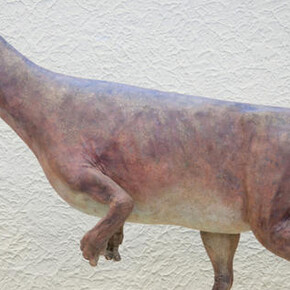 Hall of Ornithischian Dinosaurs. Courtesy of American Museum of Natural History