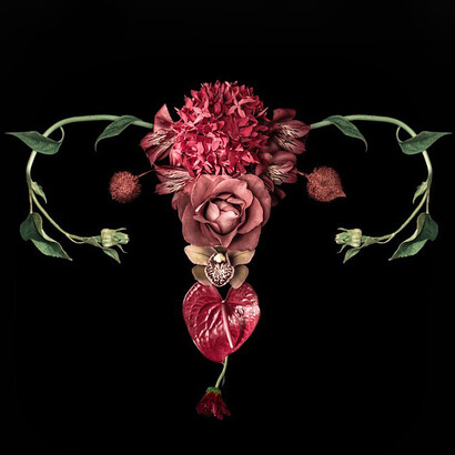 Catharina Suleiman; Obra de la serie Útero
