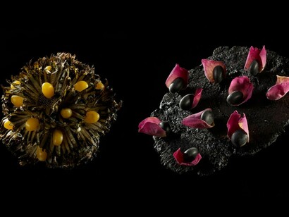 Ayako Suwa. Flavour to Savour Three