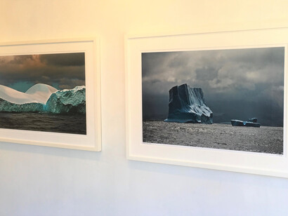 Picture This. Courtesy of Elisa Contemporary Art