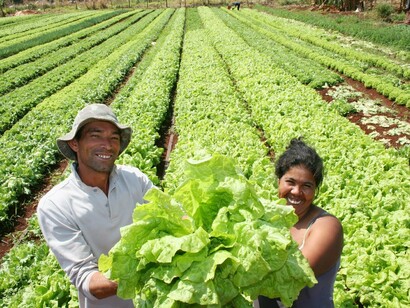 Explotación agrícola tradicional en América Latina